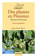 Des plantes en Provence
