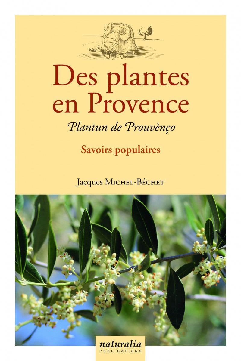 Des plantes en Provence