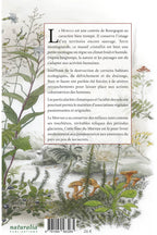Flore du Morvan