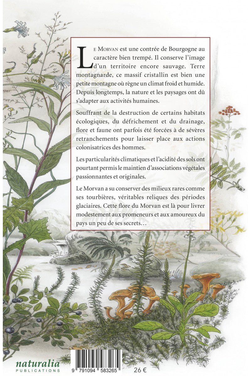 Flore du Morvan