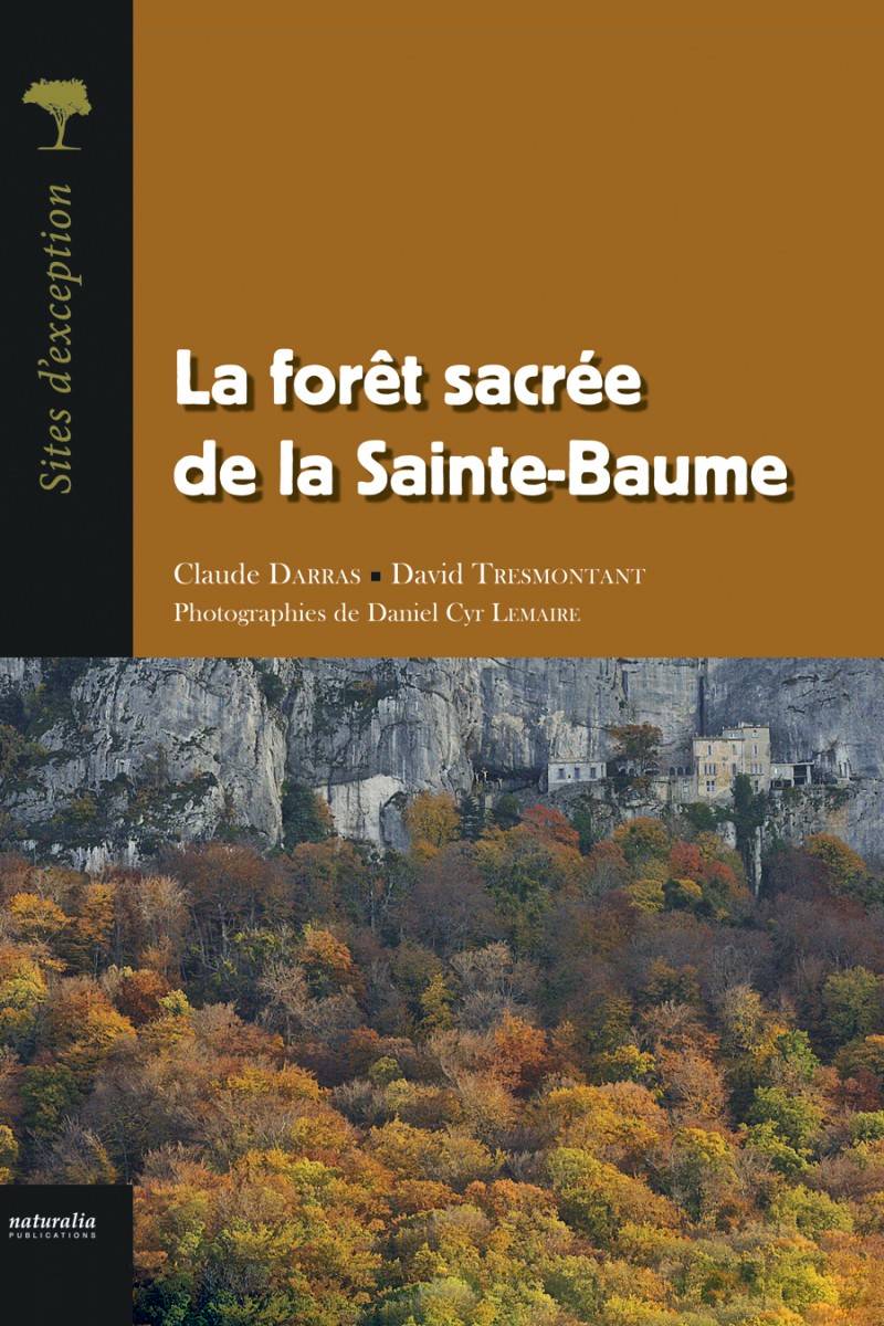 La forêt sacrée de la Sainte-Baume