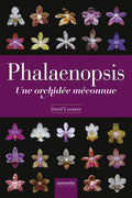 Phalaenopsis